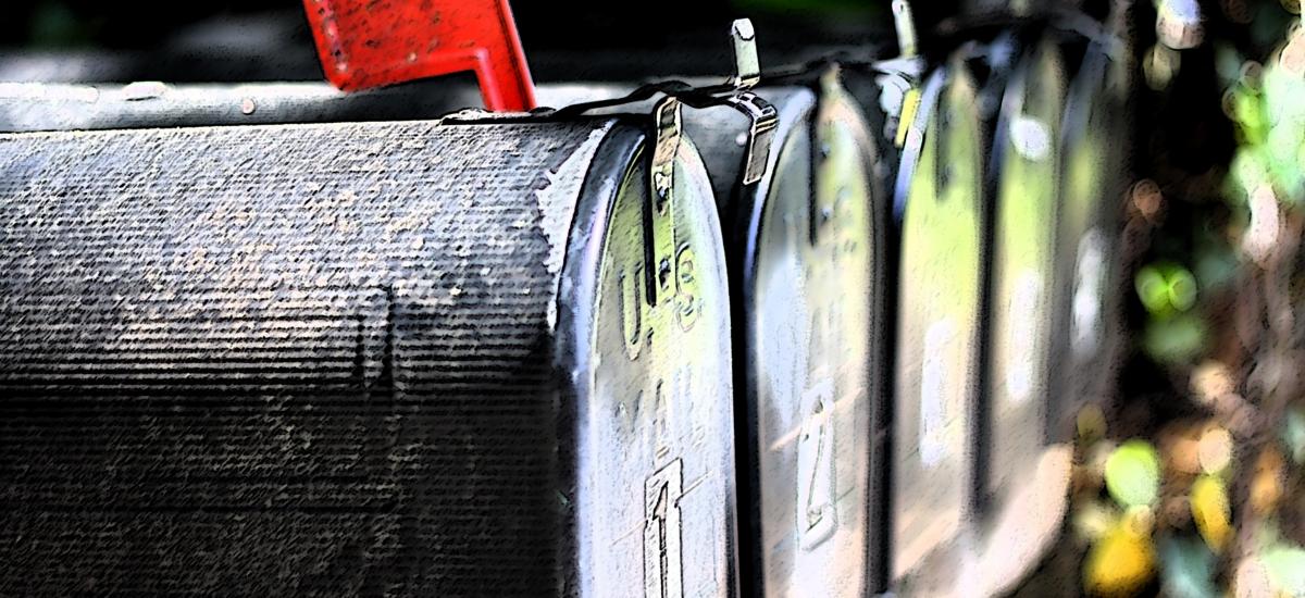 Newsletter