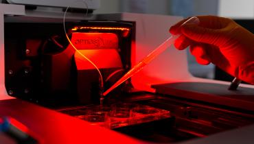 HEiKA Summer Science Academy 2025